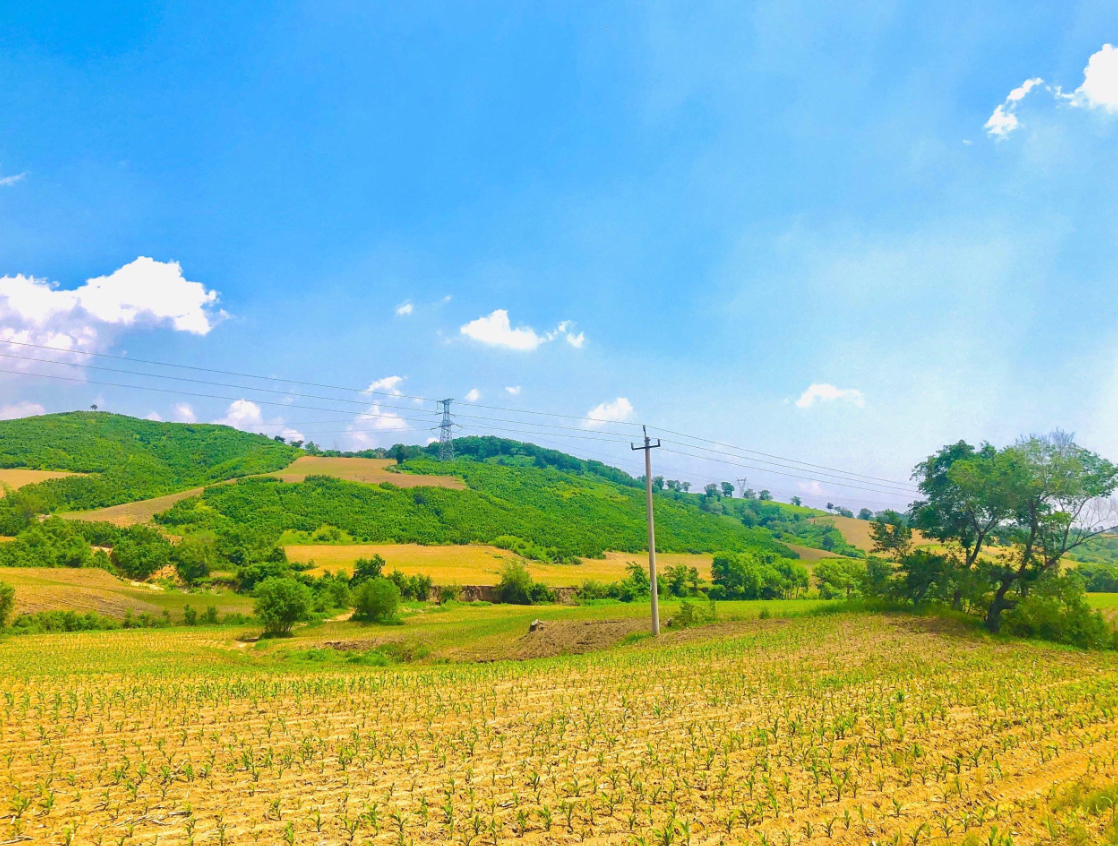 征地拆迁的基本流程有哪些 (2).png 征地拆迁的基本流程有哪些 (2).png