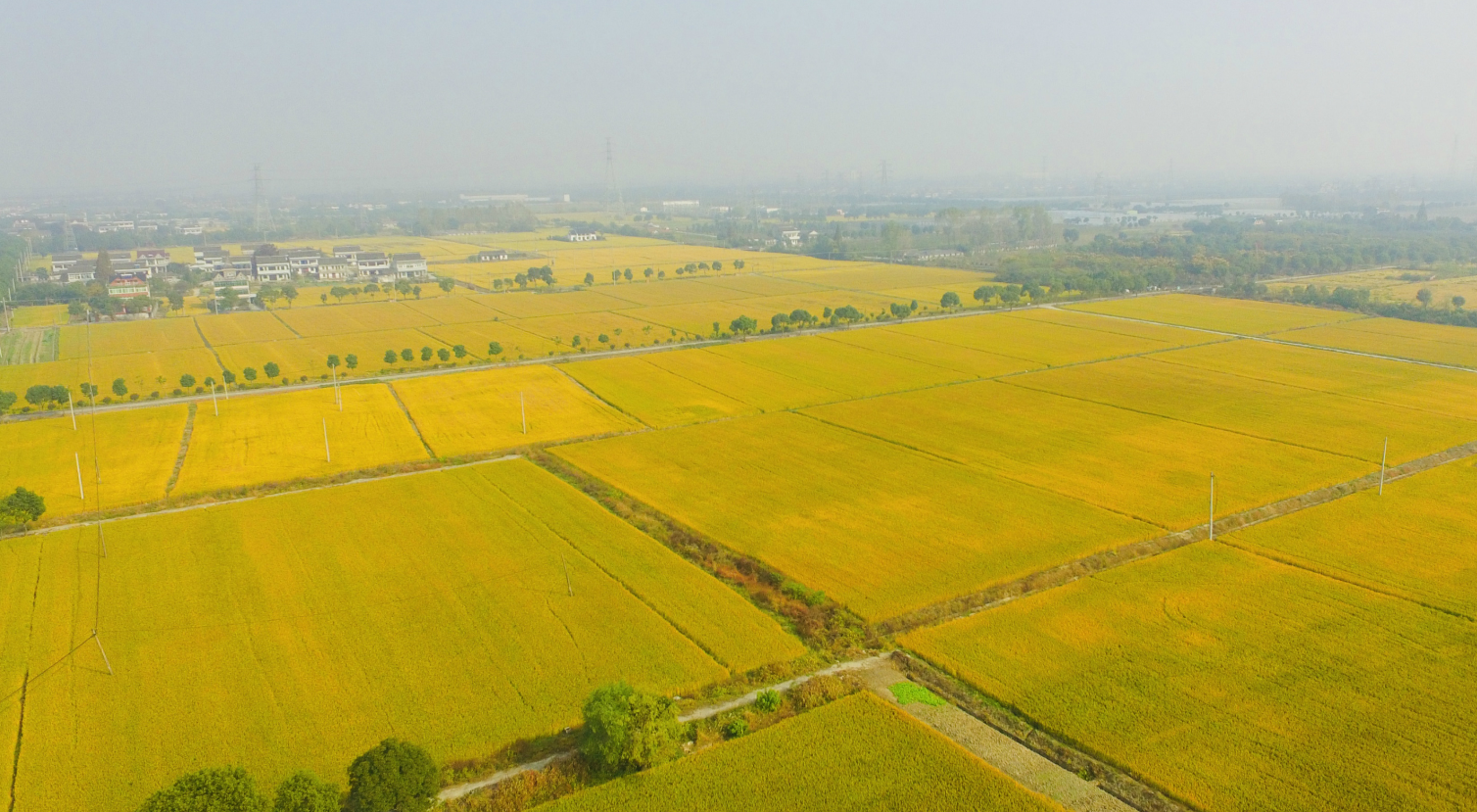 临时用地使用期限是多久?.png 临时用地使用期限是多久?.png