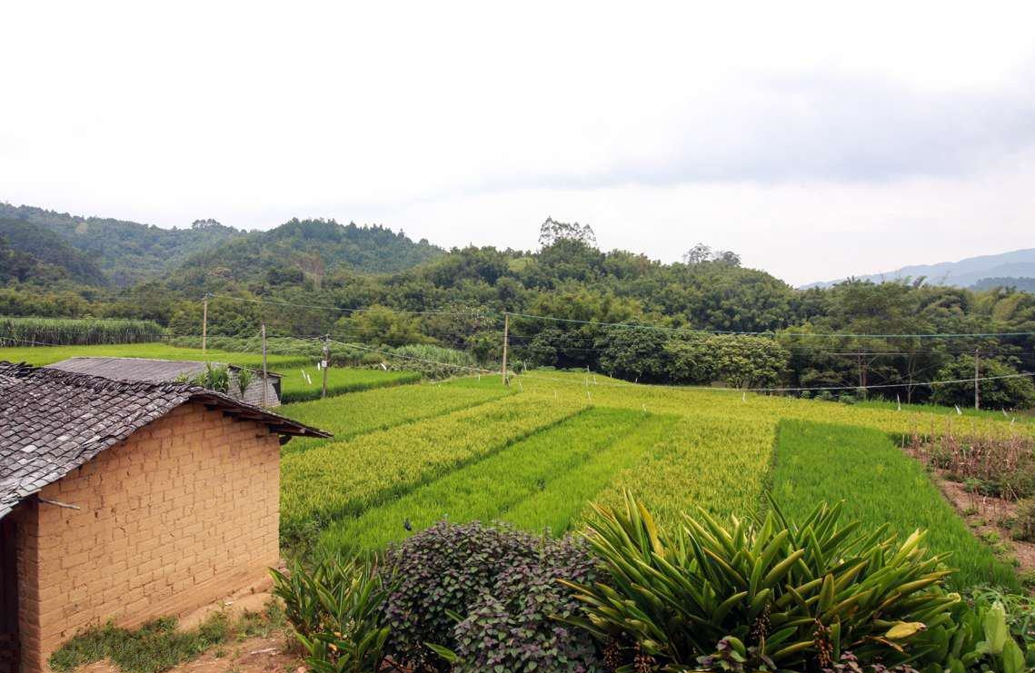 ũ������������ͬ�Ƿ���Ч (2).png