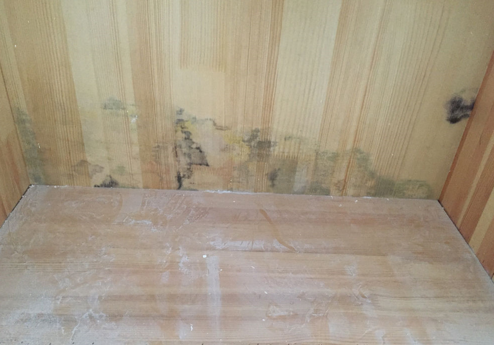 怎么防止柜子发霉.png 怎么防止柜子发霉.png