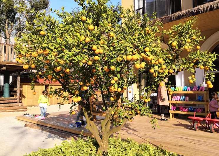 �ʺ�Ժ��������ֵ�5�� (3).png