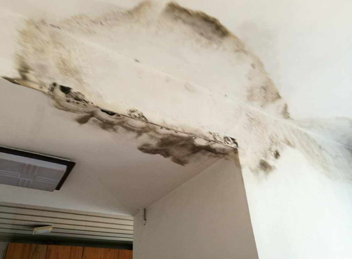 房屋漏水鉴定机构的法律规定是什么.png 房屋漏水鉴定机构的法律规定是什么.png