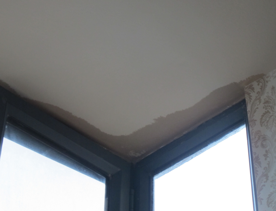 楼下漏水需注意哪些.png 楼下漏水需注意哪些.png