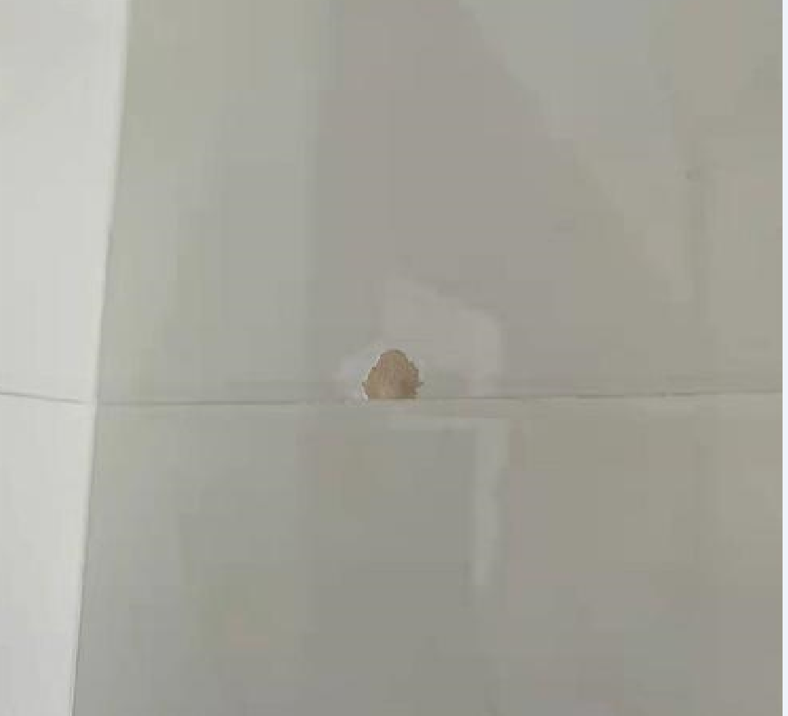 瓷砖表面掉瓷怎么修补.png 瓷砖表面掉瓷怎么修补.png