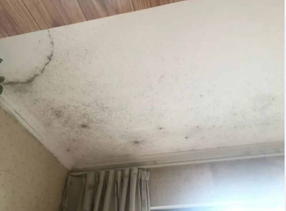 ����װ����ô������ (2).png