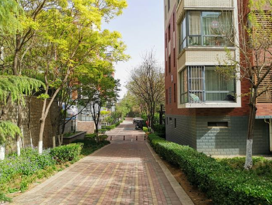 ��ʱҪ������Щ���� (2).png