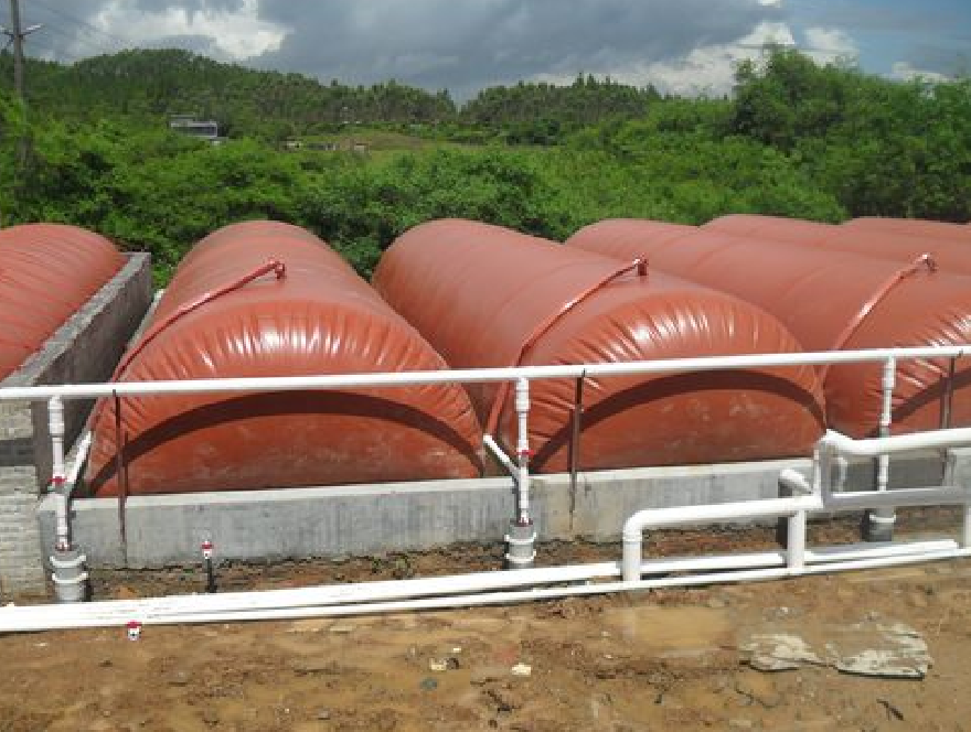 沼气池为何这么毒? (2).png 沼气池为何这么毒? (2).png