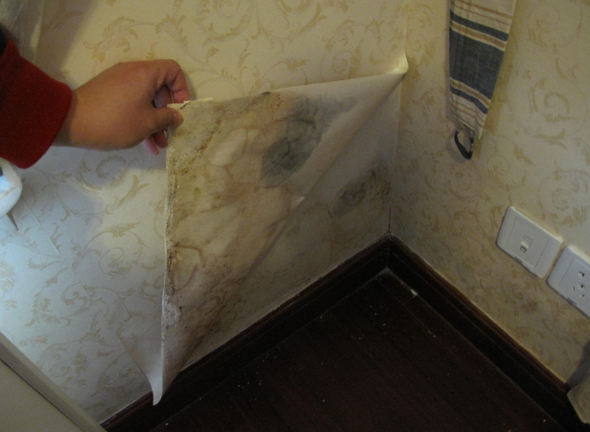 墙纸发霉应该如何做 (3).png 墙纸发霉应该如何做 (3).png