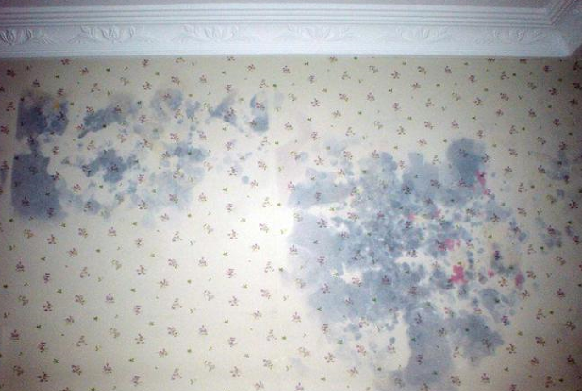 墙纸发霉应该如何做 (1).png 墙纸发霉应该如何做 (1).png