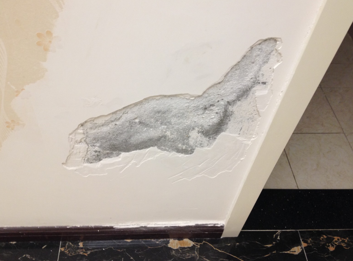 墙纸墙面怎么预防发霉?.png 墙纸墙面怎么预防发霉?.png