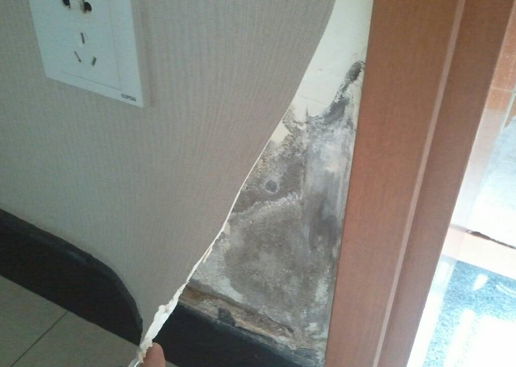 墙纸发霉怎么办 (1).png 墙纸发霉怎么办 (1).png