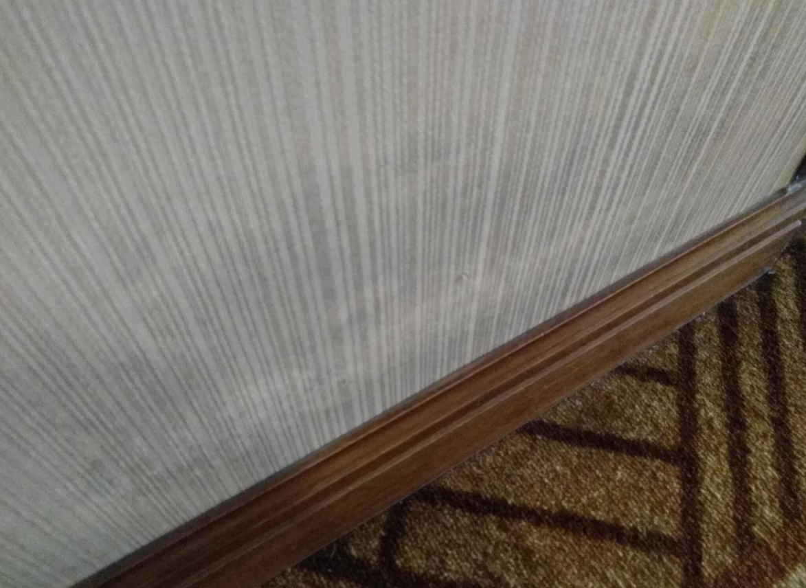 墙纸发霉怎么办 (5).png 墙纸发霉怎么办 (5).png