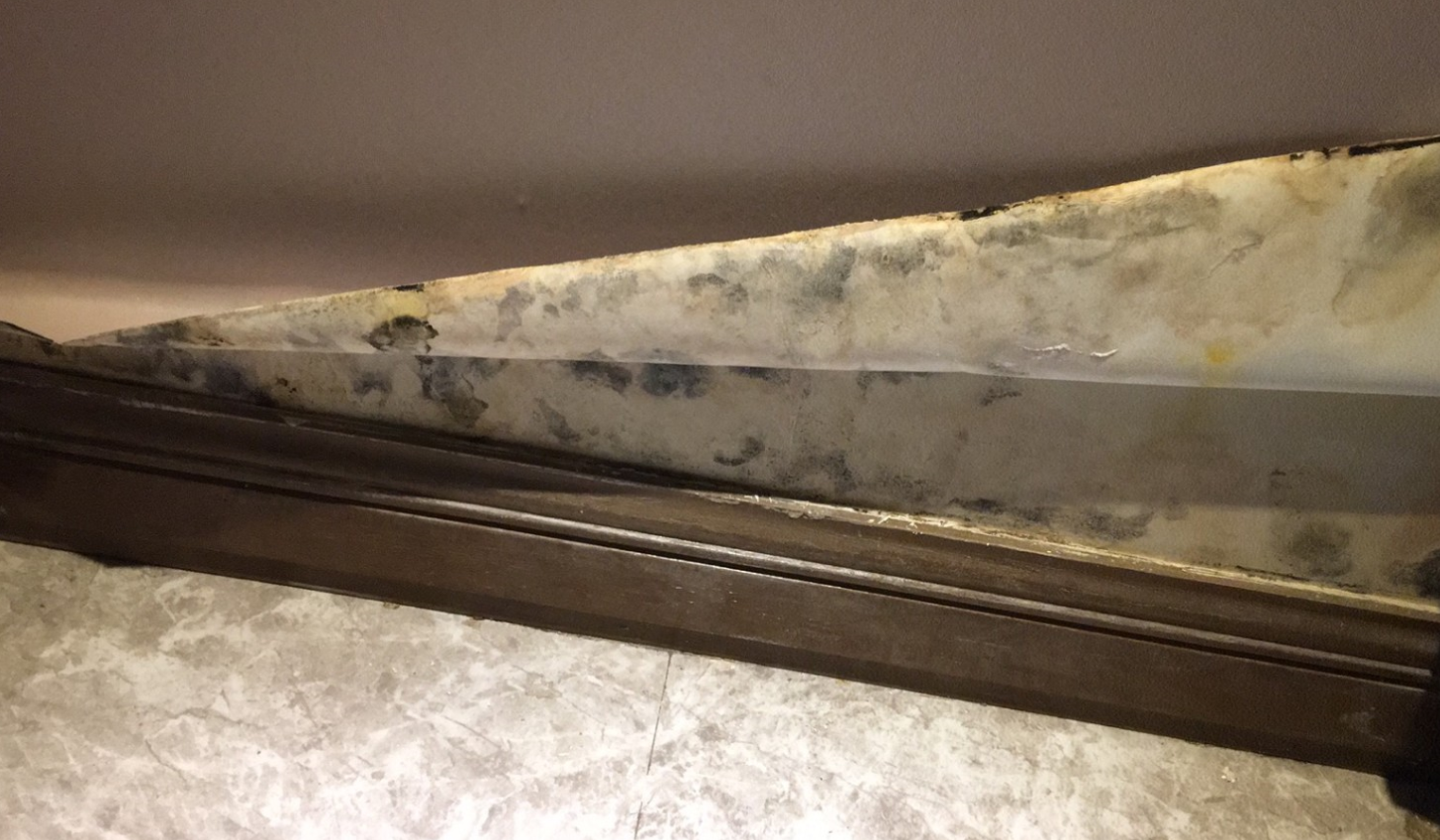 墙纸发霉怎么办.png 墙纸发霉怎么办.png