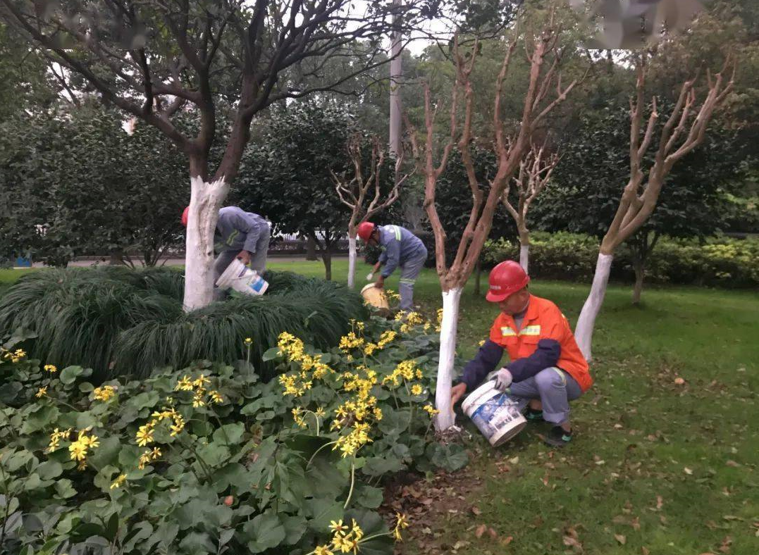 这层白色的东西是什么?.png 这层白色的东西是什么?.png