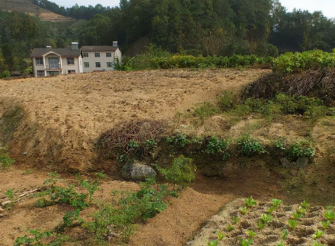 集体土地使用权证可以继承吗 (1).png 集体土地使用权证可以继承吗 (1).png