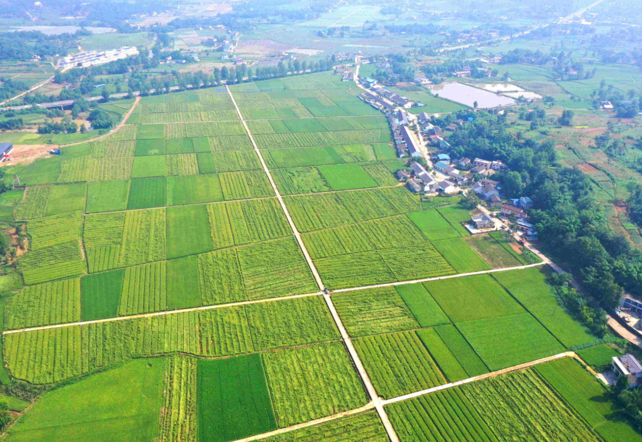 集体土地使用权证可以继承吗 (2).png 集体土地使用权证可以继承吗 (2).png