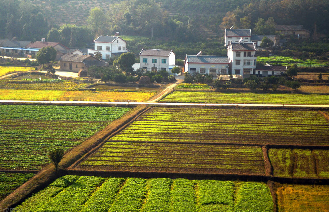 集体土地使用权证可以继承吗 (3).png 集体土地使用权证可以继承吗 (3).png