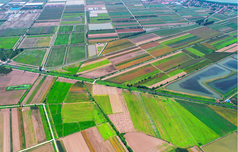 协议出让土地使用权程序是怎样的.png 协议出让土地使用权程序是怎样的.png