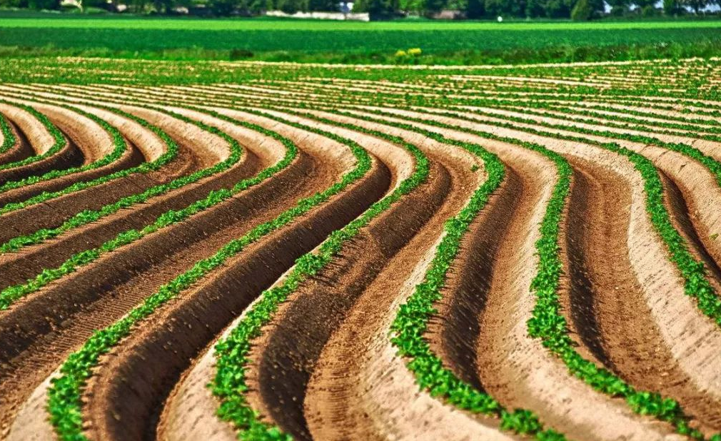 集体土地使用证非农户口可以办理吗 (2).png 集体土地使用证非农户口可以办理吗 (2).png