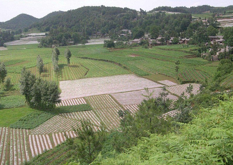 集体土地使用证非农户口可以办理吗 (3).png 集体土地使用证非农户口可以办理吗 (3).png