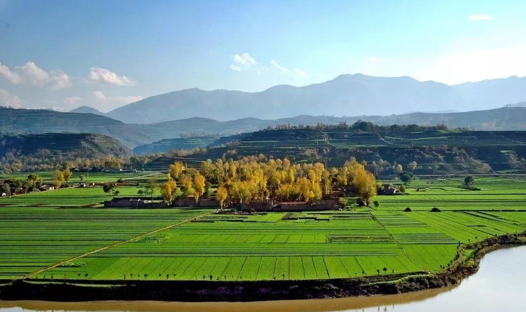 没有进行确权的土地怎么办?.png 没有进行确权的土地怎么办?.png