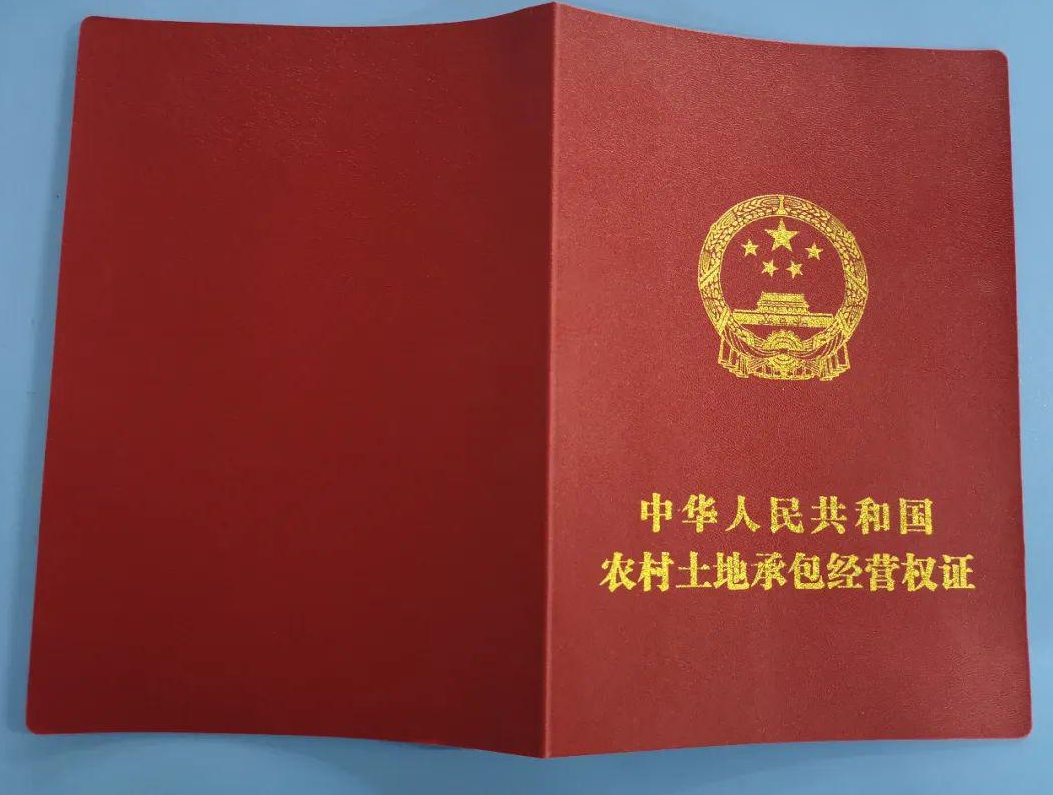 没有进行确权的土地怎么办? (2).png 没有进行确权的土地怎么办? (2).png