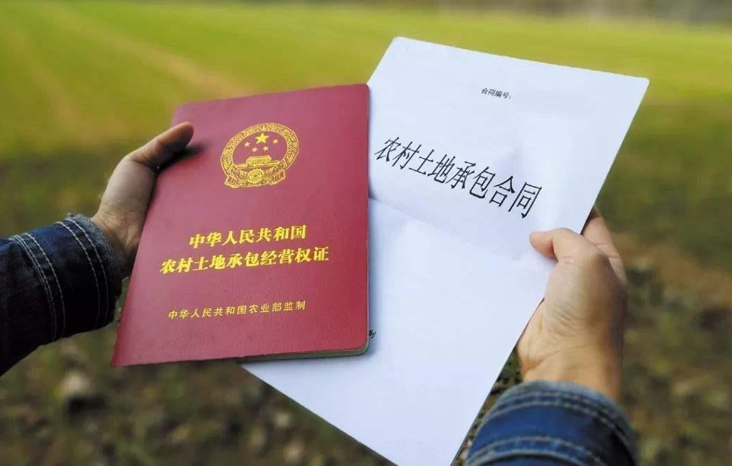 怎么进行农村土地确权?.png 怎么进行农村土地确权?.png