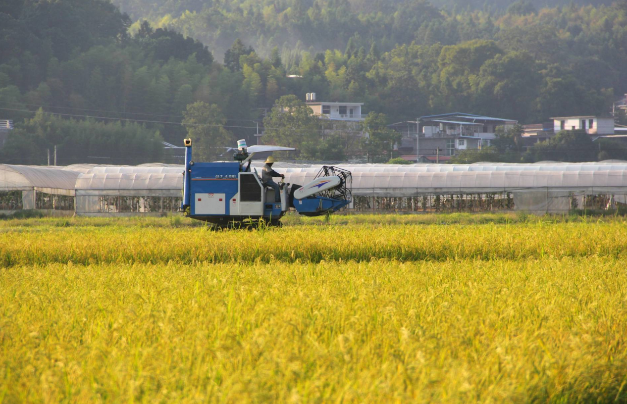 土地确权时,有个“4确3不确”的说法.png 土地确权时,有个“4确3不确”的说法.png