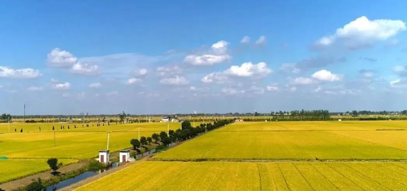 土地确权时,有个“4确3不确”的说法 (2).png 土地确权时,有个“4确3不确”的说法 (2).png