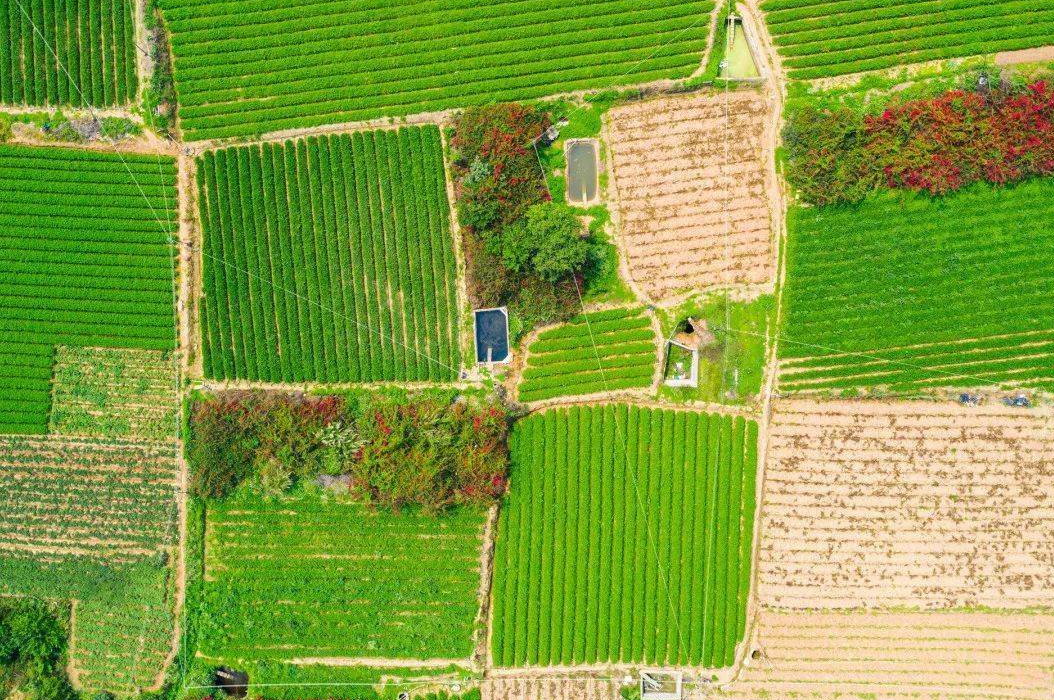 土地确权和户口有关系吗.png 土地确权和户口有关系吗.png