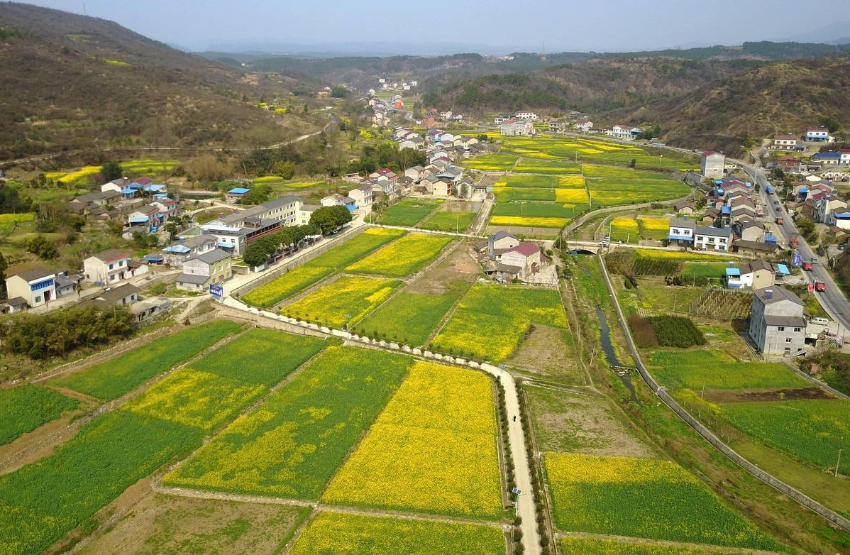 土地确权和户口有关系吗 (2).png 土地确权和户口有关系吗 (2).png