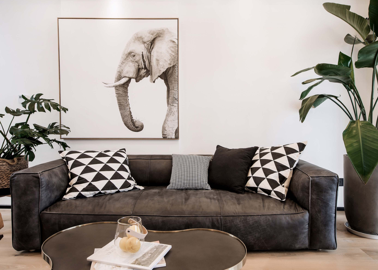 客厅沙发应该如何摆放? (4).png 客厅沙发应该如何摆放? (4).png