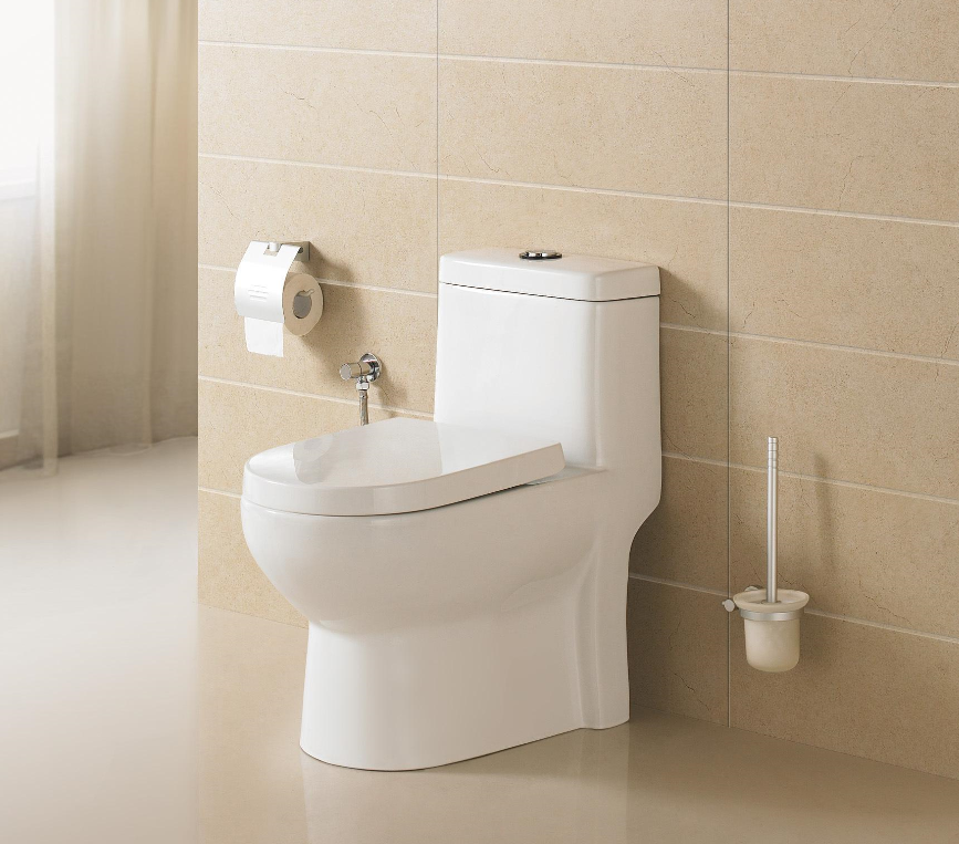 马桶虹吸式是什么意思 (2).png 马桶虹吸式是什么意思 (2).png