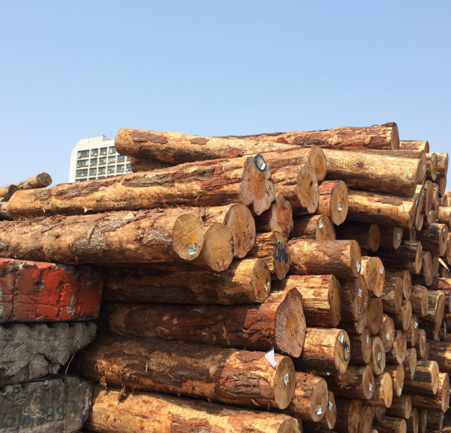 新西兰松木的优缺点.png 新西兰松木的优缺点.png