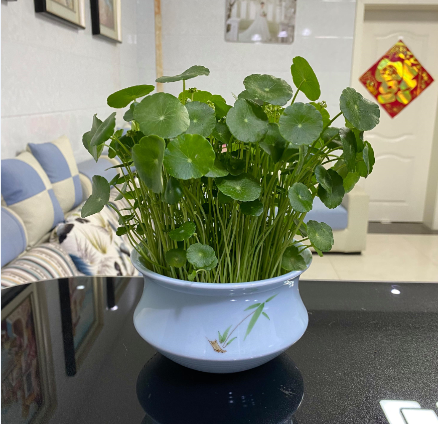 ͭǮ���ܰڷ��������� (3).png