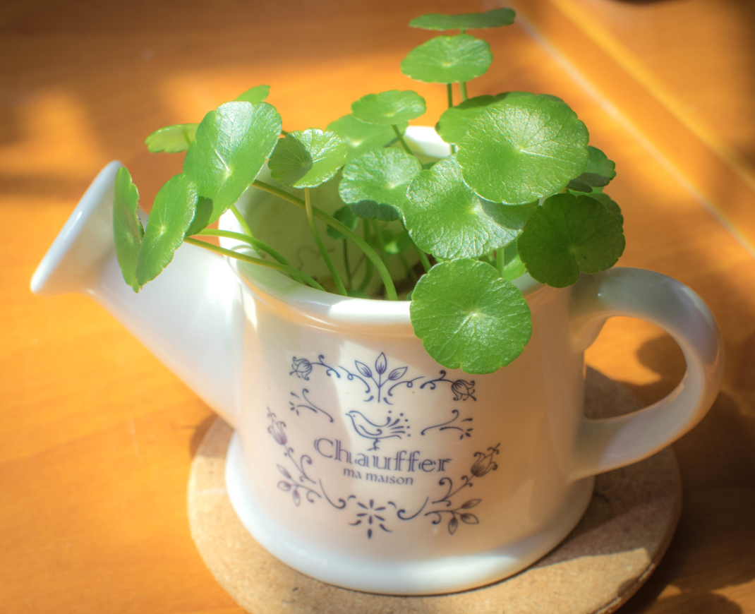 ͭǮ���ܰڷ��������� (4).png