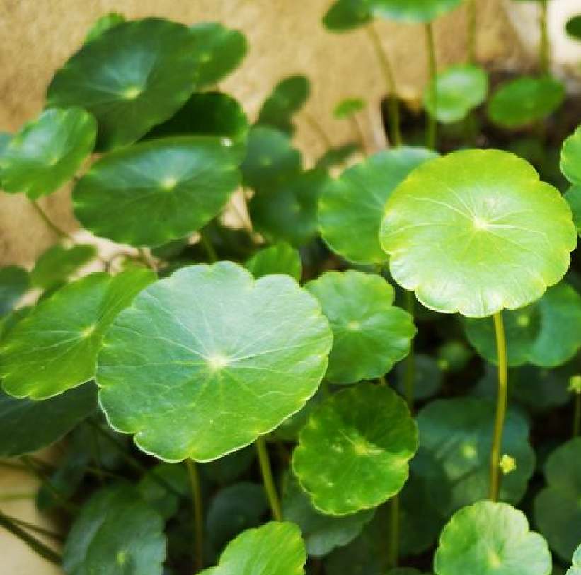 ͭǮ�ݰڷŵķ�ˮ��������Щ (3).png