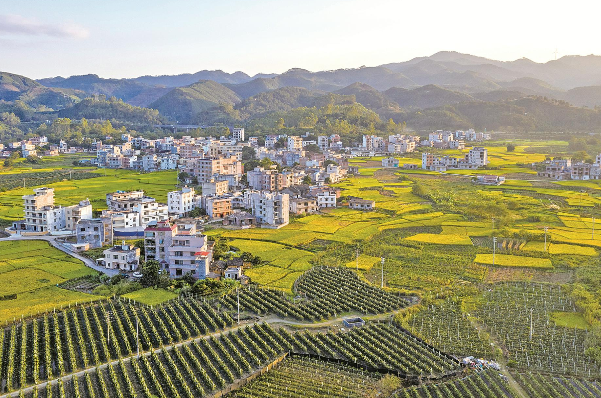 国家土地性质分类标准.png 国家土地性质分类标准.png