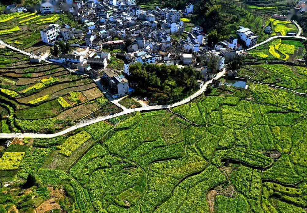 土地性质的认定部门是谁 (2).png 土地性质的认定部门是谁 (2).png