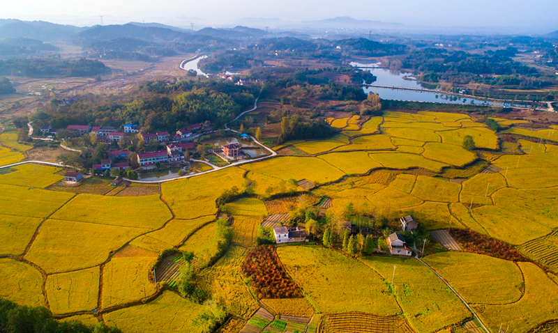 土地性质的认定部门是谁.png 土地性质的认定部门是谁.png