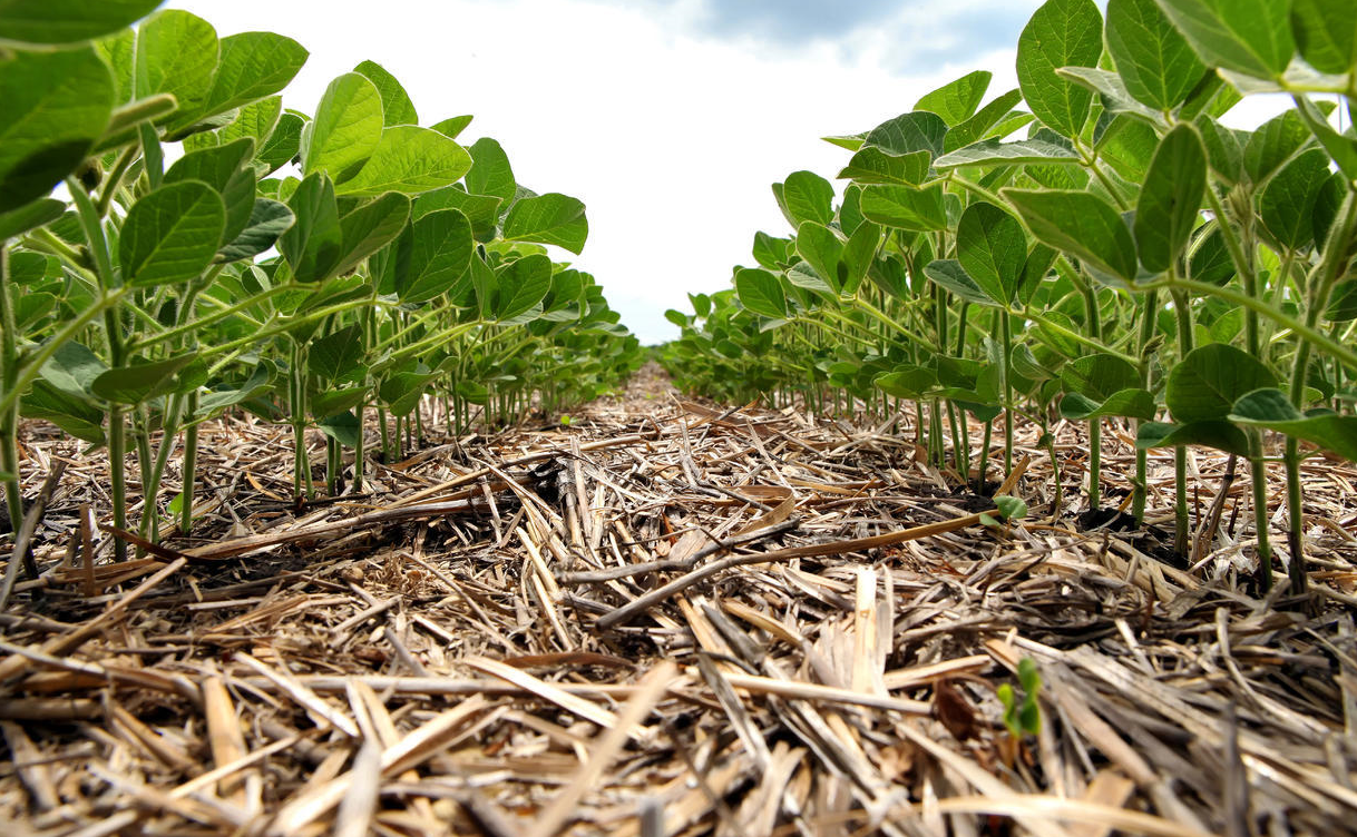 最新土地性质分类标准.png 最新土地性质分类标准.png