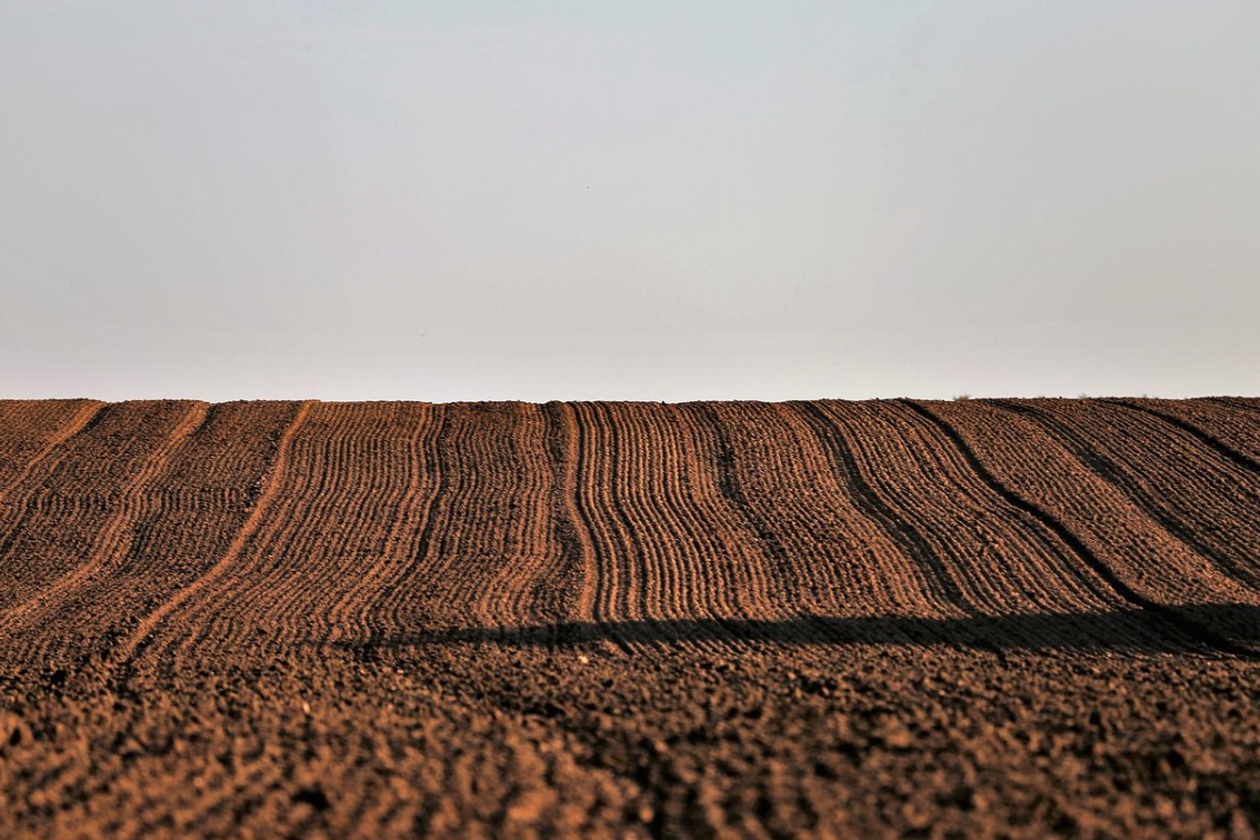 土地性质有哪几种.png 土地性质有哪几种.png