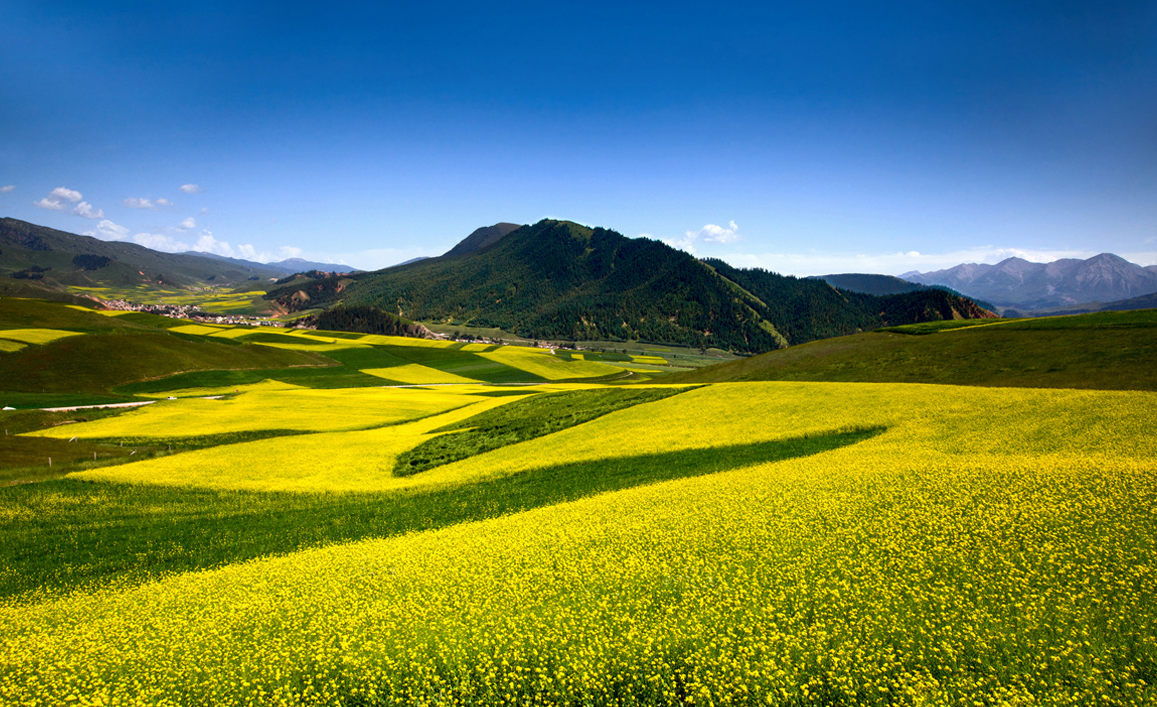 土地性质划拨的房子可以抵押吗.png 土地性质划拨的房子可以抵押吗.png