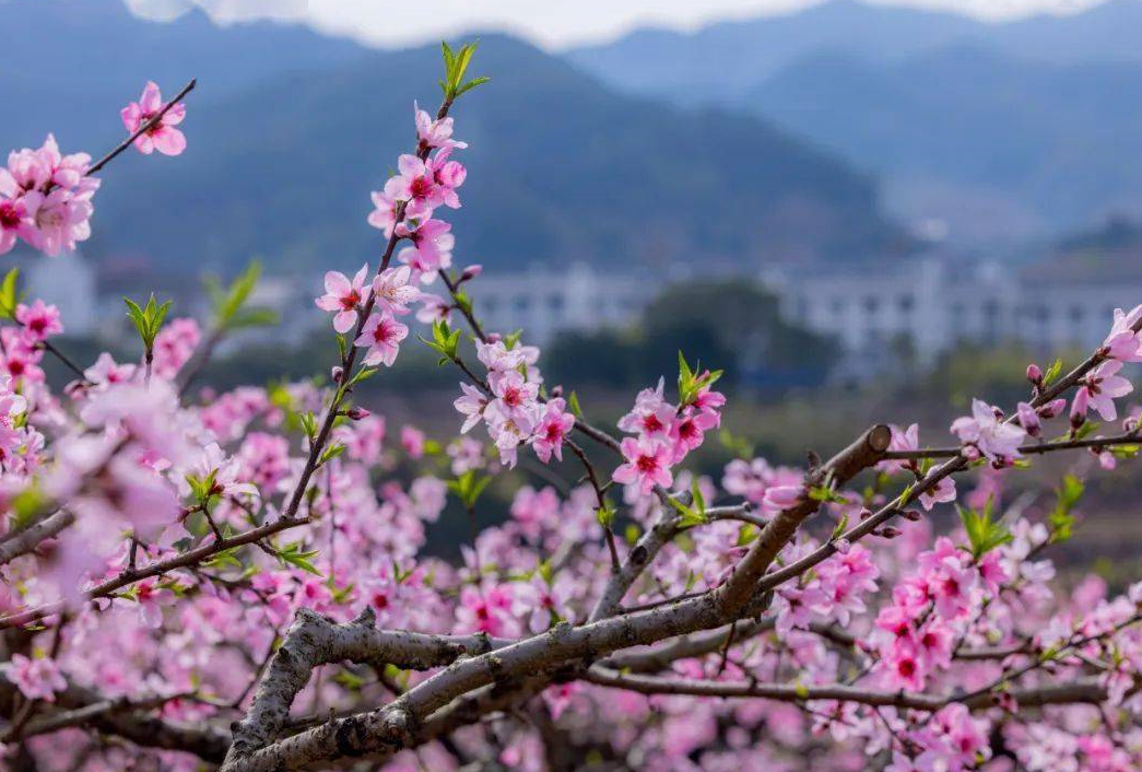 住房门前忌讳什么 .png 住房门前忌讳什么 .png