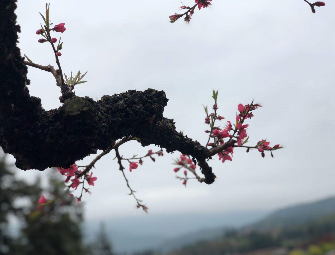 住房门前忌讳什么 (2).png 住房门前忌讳什么 (2).png