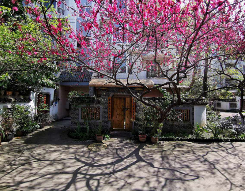 门前种三树,家兴富三世.png 门前种三树,家兴富三世.png