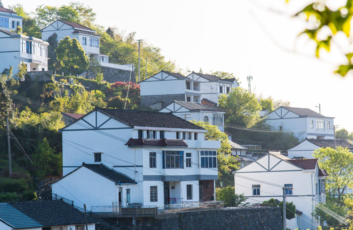 农村“一户多宅”或将全面清查 (2).png 农村“一户多宅”或将全面清查 (2).png