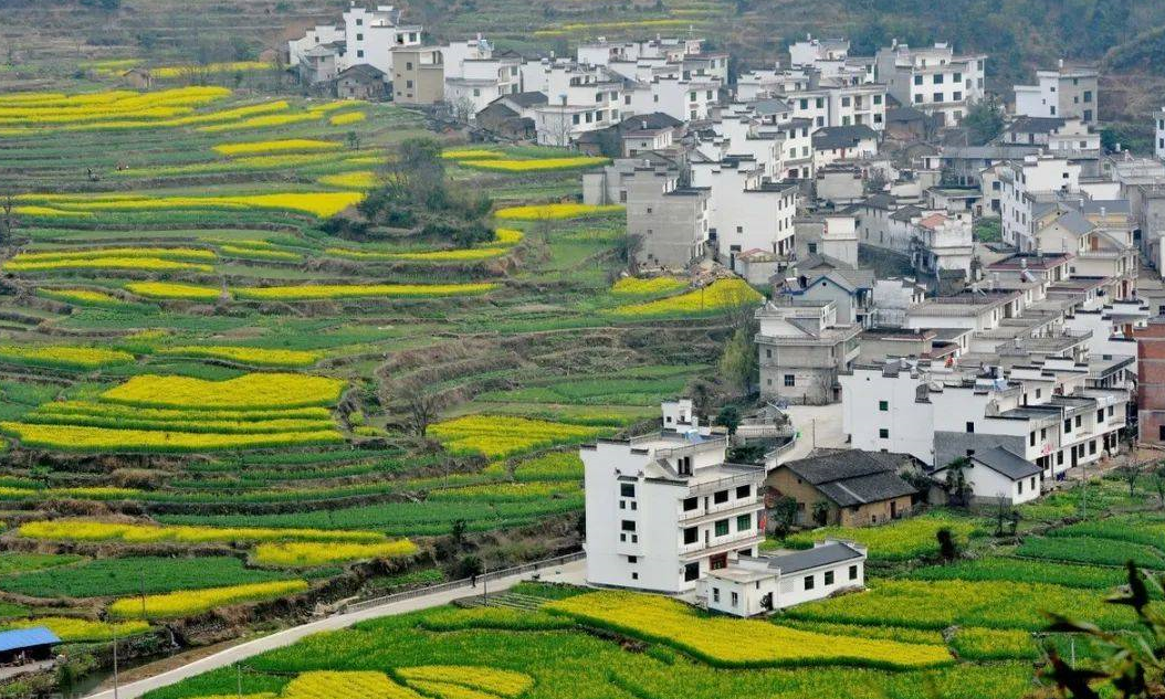 宅基地确权登记中的“户”如何认定?.png 宅基地确权登记中的“户”如何认定?.png