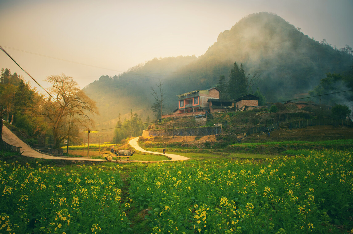 一户二宅会不会拆除?.png 一户二宅会不会拆除?.png