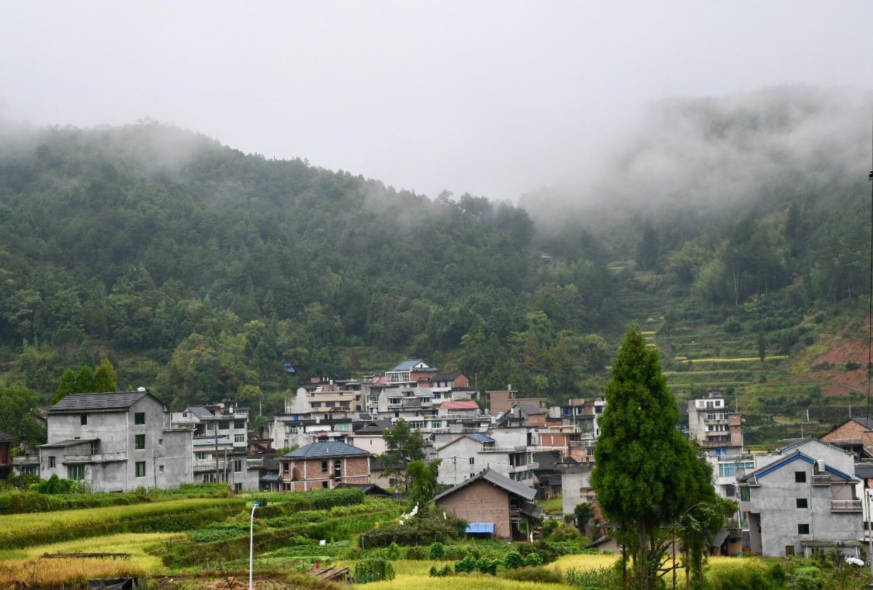 ũ��Ƿ���ˮ��������Щ (2).png